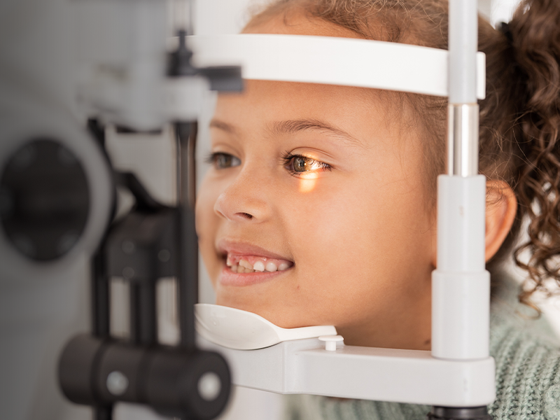 Catalogue UNSW Navigator